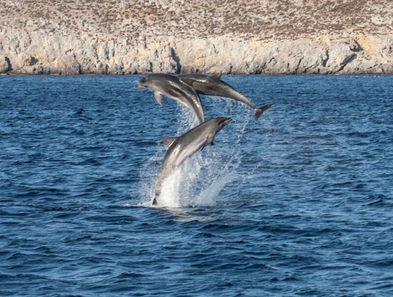 From Ag Anna: Rina's Cave and Ano and Kato Koufonisi Cruise - Onboard Experience and Crew