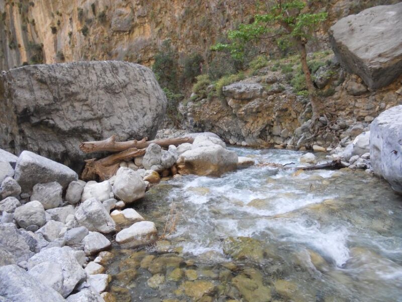 From Agia Galini/Matala: Samaria Gorge Hiking Tour - Key Points