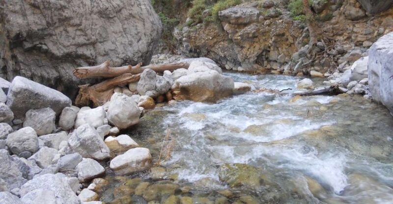 From Agia Galini/Matala: Samaria Gorge Hiking Tour - Trekking into the Longest Gorge in Europe
