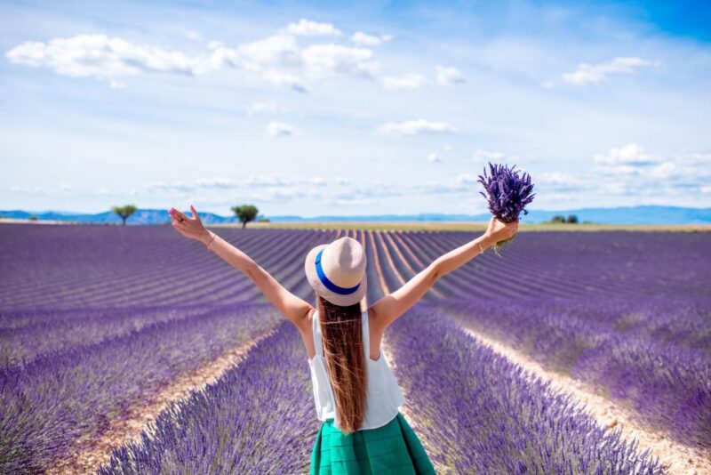 From Aix: Day Trip to Valensole Lavender Fields in Provence - Free Time and Shopping in Valensole