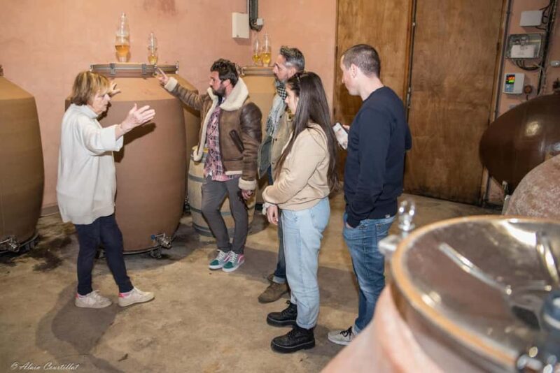 From Aix-en-Provence : Half-day Sidecar Wine Tour - Who Will Love This Provence Sidecar Experience?