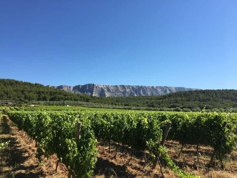 From Aix en Provence: Half-day Wine Tour in Provence - Key Points