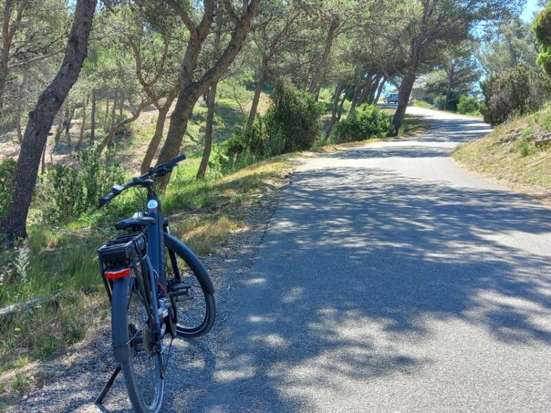 From Aix-en-Provence: Luberon Region E-Bike Full-Day tour - Practical Details and Tips for Participants
