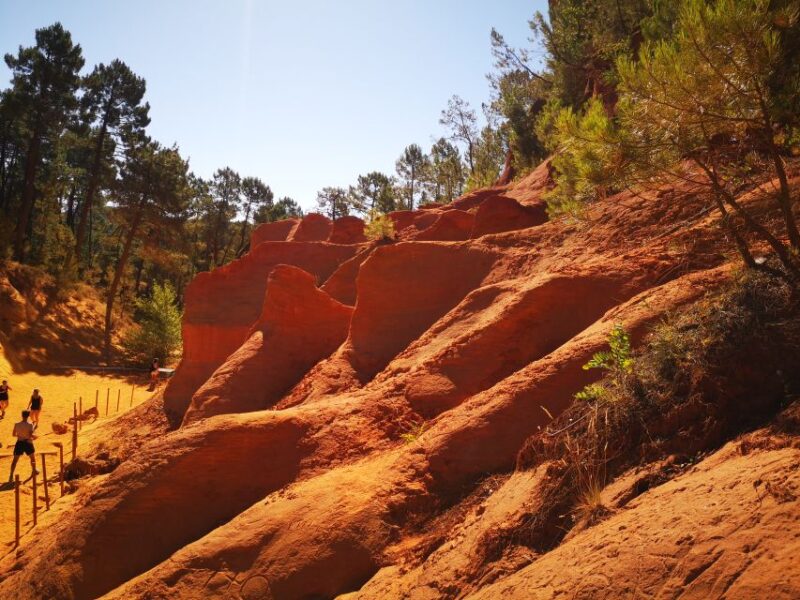 From Aix en Provence: Luberon Villages Full-Day Guided Tour - Admiring Senanque Abbey and the Lavender Fields