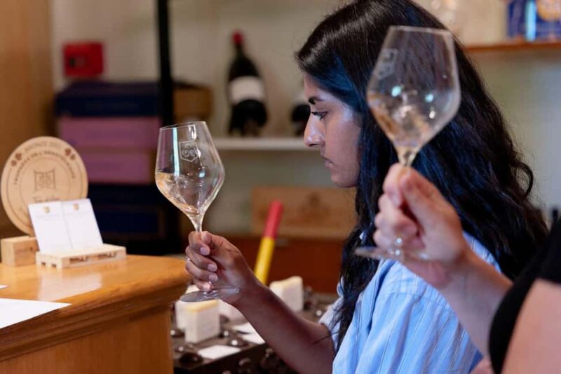 From Aix-en-Provence: Provence Region Tour with Wine Tasting - Return Journey to Aix-en-Provence