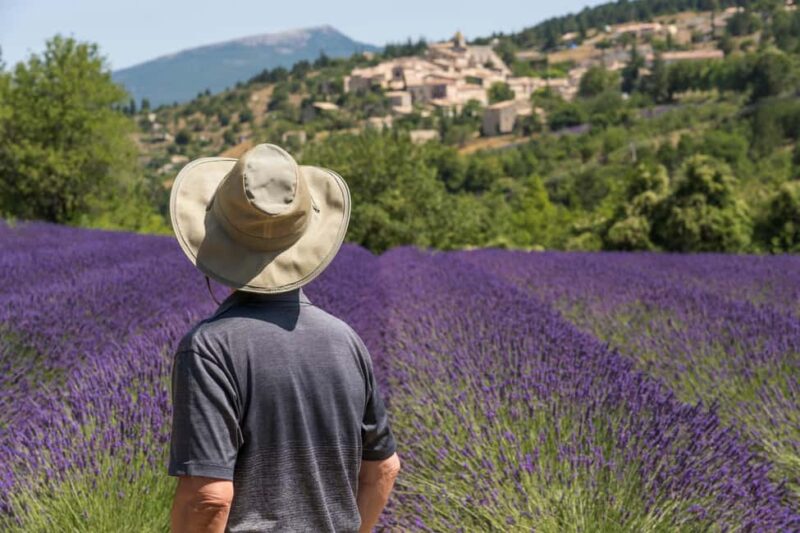 From Aix-en-Provence: Sault Lavender & Gordes Full-Day Tour - Discover the Charm of the South of France in a Full-Day Adventure