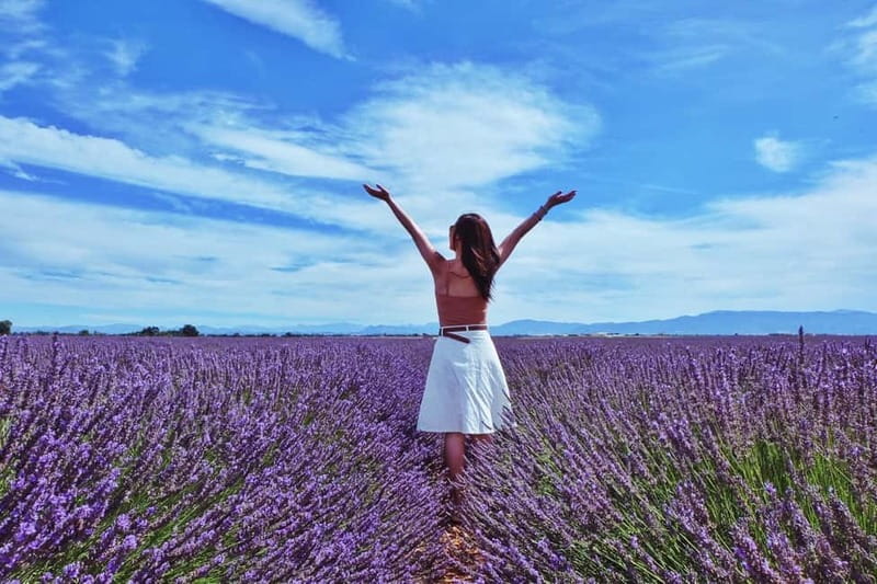 From Aix-en-Provence : Sunset Lavender Tour in Valensole - Scenic Drive to the Lavender Fields of Valensole