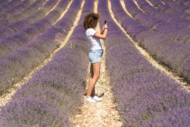 From Aix-en-Provence : Sunset Lavender Tour in Valensole - Capturing the Perfect Photos in Golden Light