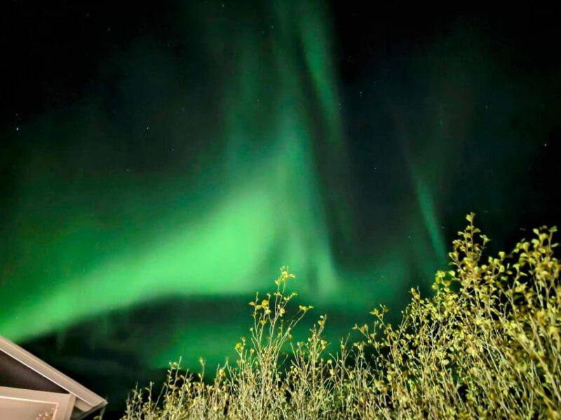 From Akureyri: Northern Lights Tour - The Role of the Guide in Enhancing the Experience