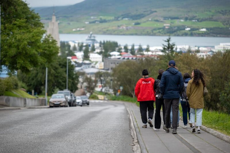 From Akureyri Port: City Walk & Local Food - Group Size and Private Tours