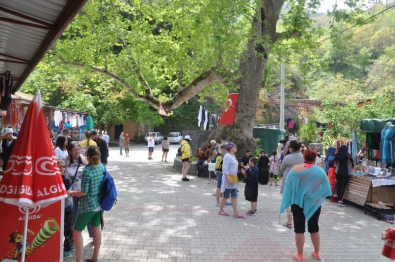 From Alanya: Jeep Safari Tour with Lunch at Dim River - Accessibility and Group Size