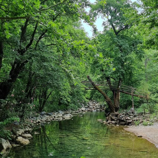 From Alanya: Quad/ATV Safari Tour - Tour Logistics and Practical Tips
