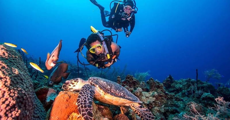 From Alanya: Scuba Diving Tour with Hotel Transfers - Exciting Underwater Adventure with Hotel Transfers from Alanya