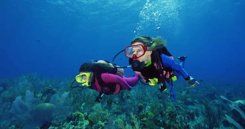 From Alanya: Scuba Diving Tour with Hotel Transfers - Key Points