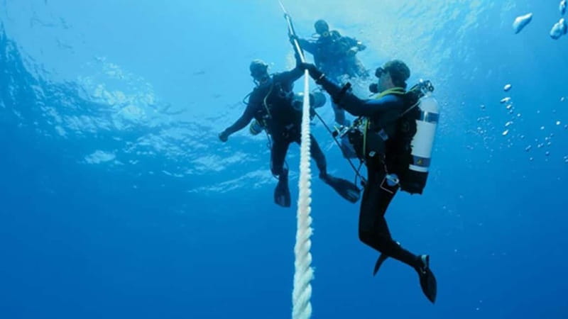 From Alanya: Scuba Diving Tour with Hotel Transfers - Afternoon Dive at a Different Location