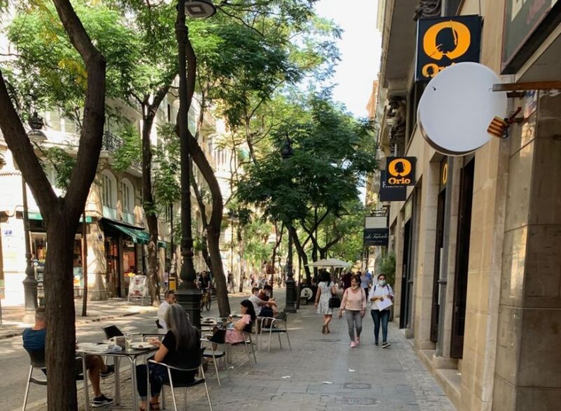 From Albir, Altea, Benidorm & Calpe: Valencia City Excursion - Comfortable, Guided Experience with Flexible Options