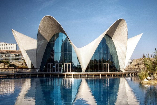 From Albir, Altea, Benidorm & Calpe: Valencia City Excursion - Food, Drinks, and Additional Expenses