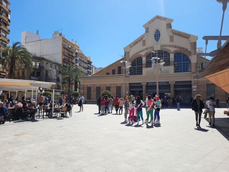 From Albir and Benidorm: Day Trip to Alicante by Coach - The Experience of the Guide and Group Size