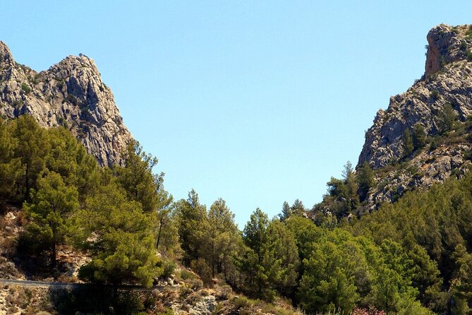 From Albir & Benidorm: Algar Waterfalls Excursion - Who Should Consider This Tour?