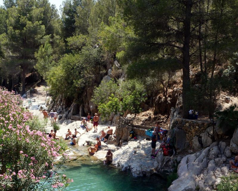 From Albir or Benidorm: Algar Waterfalls Day Trip - Accessibility and Physical Requirements