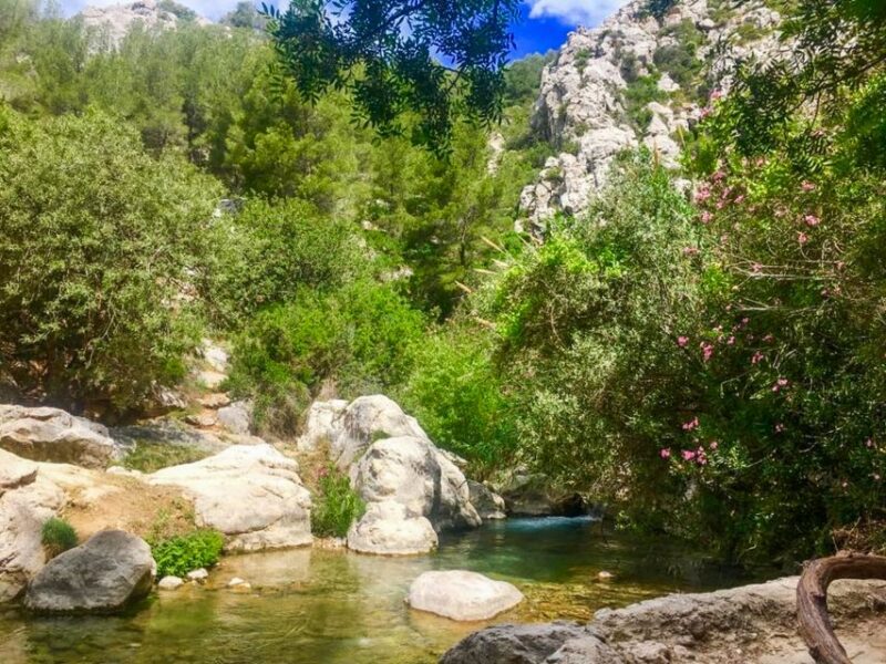 From Albir or Benidorm: Algar Waterfalls Day Trip - The Return Journey and Drop-Off Arrangements