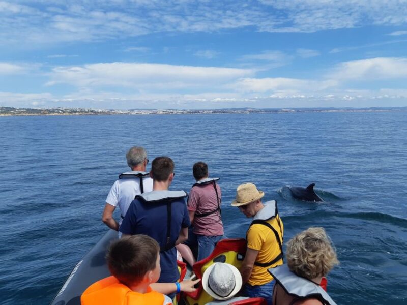 From Albufeira: Benagil Caves and Dolphins Guided Boat Tour - Swimming Stops in Blue Waters