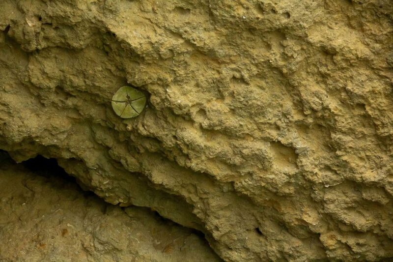 From Albufeira: Benagil Caves Excursion by Boat Private - Key Points