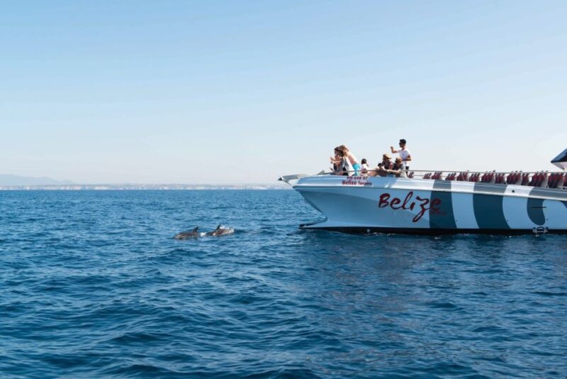 From Albufeira: Dolphins and Caves 2.5-Hour Boat Trip - Wildlife Encounters: Dolphins in Their Natural Habitat