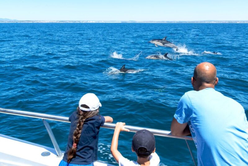From Albufeira: Dolphins and Caves 2.5-Hour Boat Trip - Exploring the Algarve’s Famous Sea Caves and Rock Formations