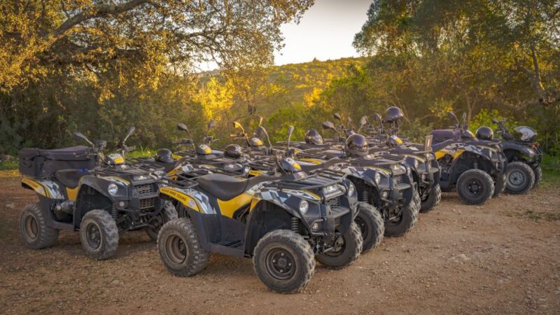 From Albufeira: Half-Day Off-Road Quad Tour - Summary of the Half-Day Off-Road Quad Tour