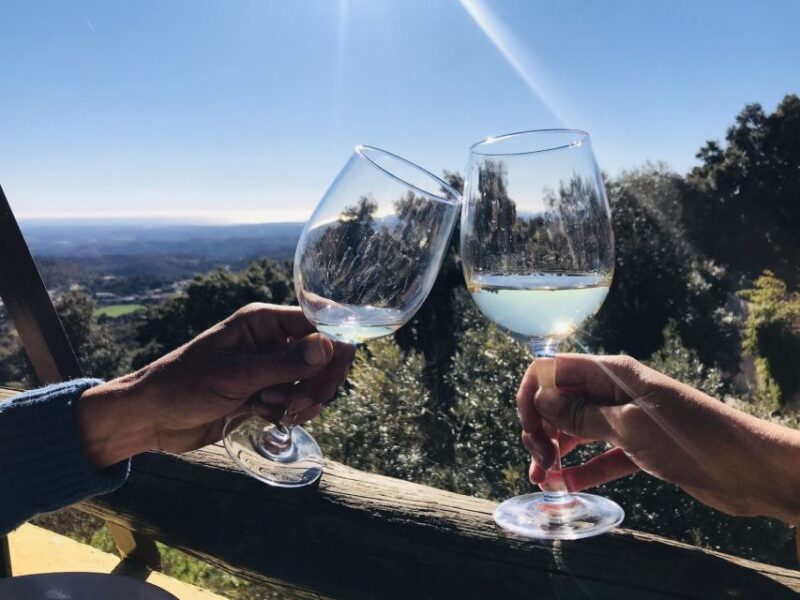 From Albufeira: Half-Day Winery Tour and Silves - Discover the Charm of Algarve Wines with a Guided Tasting