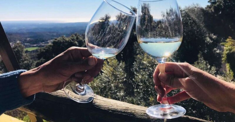 From Albufeira: Half-Day Winery Tour and Silves - Exploring Silves: A Historic Town with Authentic Atmosphere