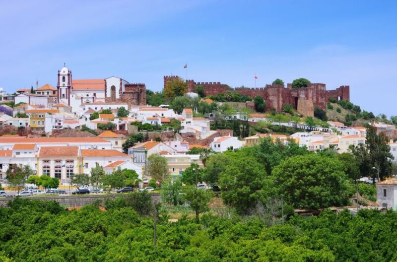 From Albufeira: Half-Day Winery Tour and Silves - What Makes This Tour Stand Out Compared to Other Wine Experiences