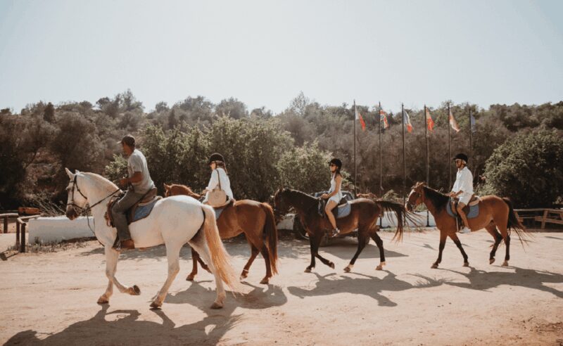 From Albufeira: Horse Riding Tour with Pickup - From the Meeting Point to the Trails
