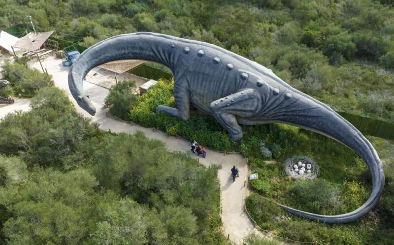 From Alcúdia: Dinosaurland and Hams' Caves Half-Day Trip - Key Points