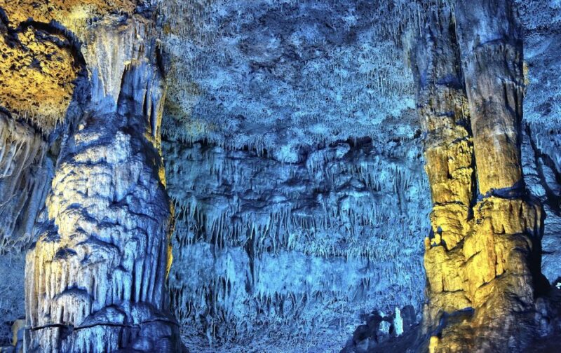 From Alcúdia: Dinosaurland and Hams' Caves Half-Day Trip - Who Will Enjoy This Tour Most?