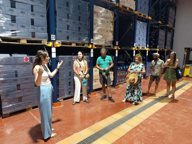 From Alicante ,Benidorm: Winery Tour and Wine Tasting - Visiting a Major Winery in Alicante