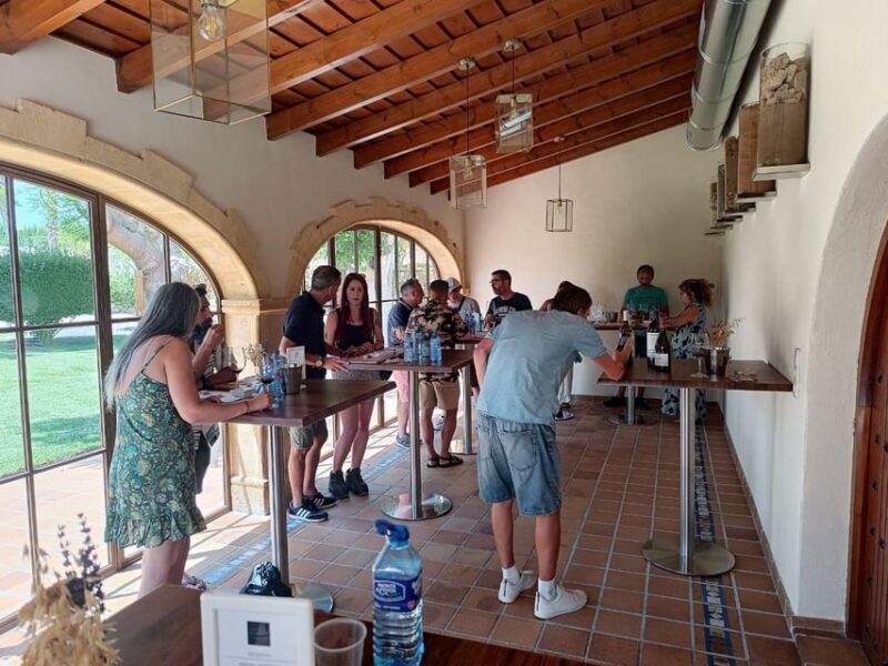 From Alicante ,Benidorm: Winery Tour and Wine Tasting - The Guide and Language Options