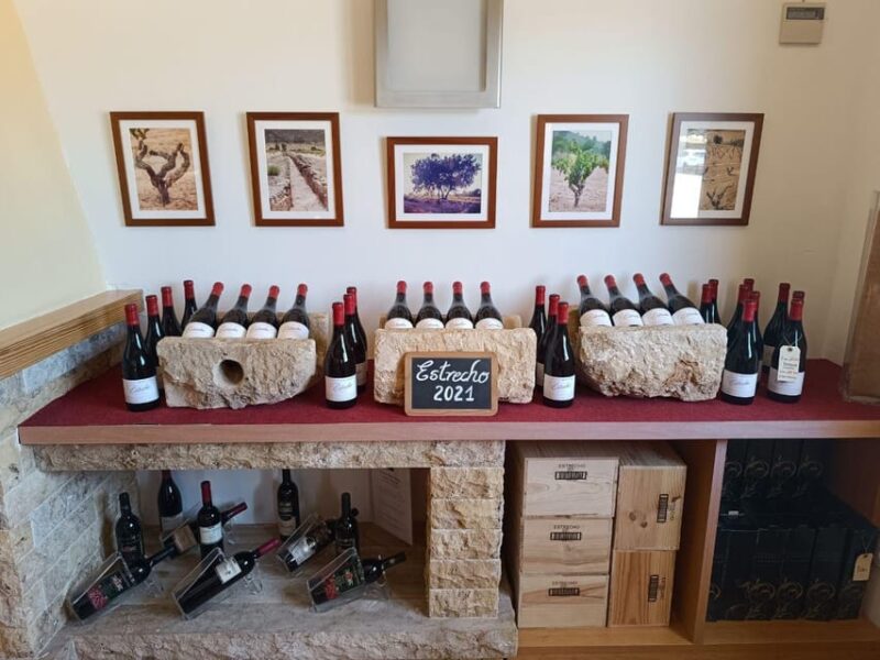 From Alicante ,Benidorm: Winery Tour and Wine Tasting - Who Will Enjoy This Tour?