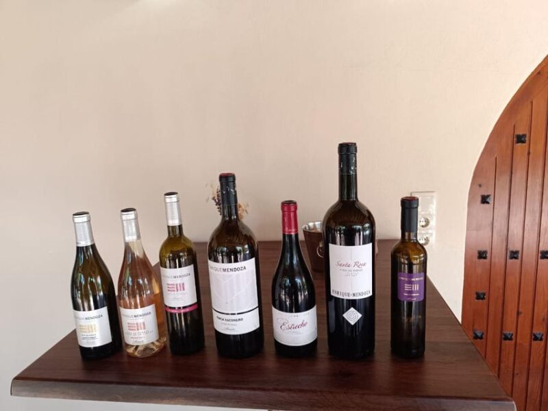 From Alicante ,Benidorm: Winery Tour and Wine Tasting - Frequently Asked Questions