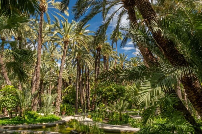 From Alicante: Elche Half-Day of Palms, History & Heritage - From Alicante: Elche Half-Day of Palms, History & Heritage Offers an Intimate Exploration