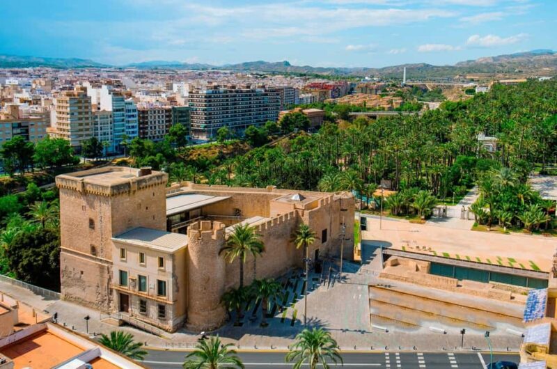 From Alicante: Elche Half-Day of Palms, History & Heritage - The UNESCO-Listed Palmeral of Elche: One of Europes Largest Palm Forests