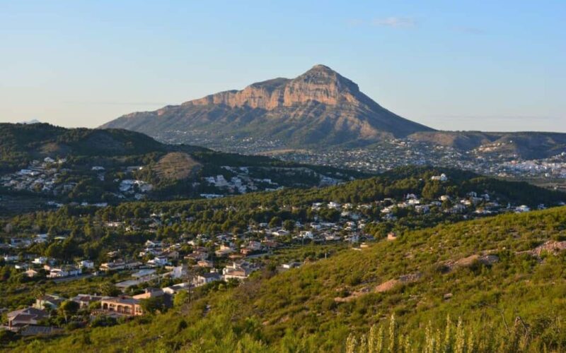 From Alicante: Elche Half-Day of Palms, History & Heritage - Scenic Viewpoints and the Vinalopó River Basin