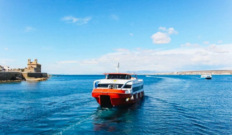 From Alicante: Roundtrip to Tabarca Island - Practical Tips for a Smooth Trip