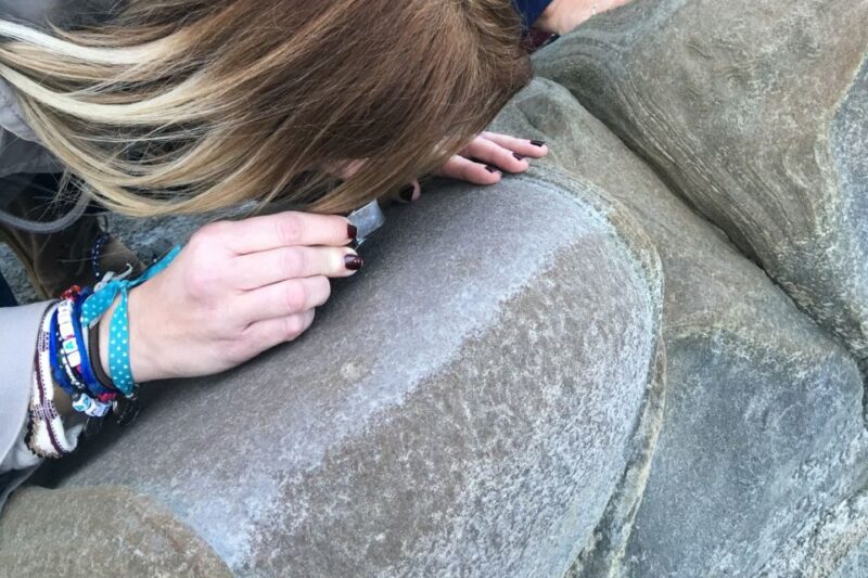 From Almeria: Tabernas Desert 4WD joyriding Tour - The Value of the Guided Experience