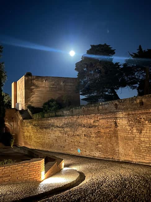 From Almuñécar: Granada Day Trip with Alhambra and Cathedral - Convenient Pickup and Transportation from Almuñécar