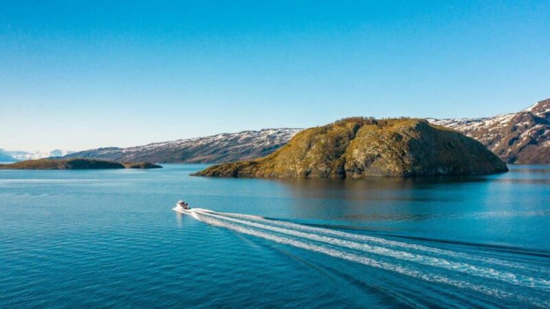 From Alta: Adventure Cruise in Alta Fjord - Explore Alta Fjord with an Authentic Adventure Cruise