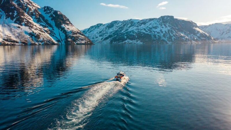 From Alta: Adventure Cruise in Alta Fjord - The Scenic Altafjord Cruise Experience