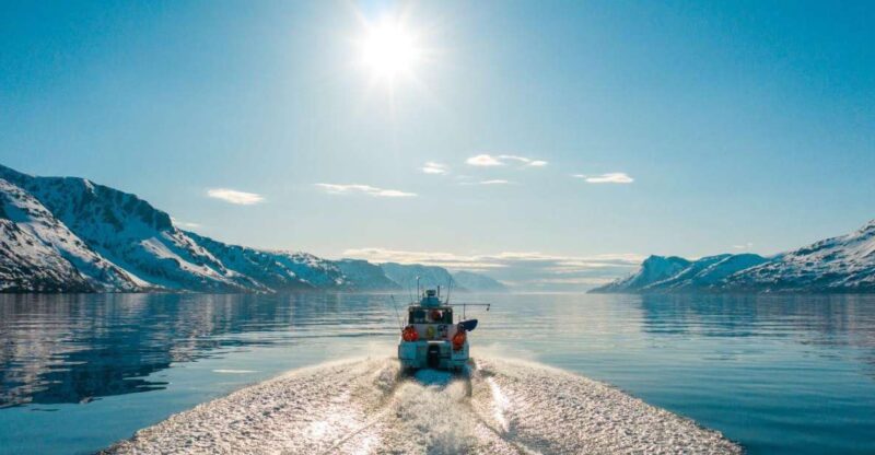 From Alta: Adventure Cruise in Alta Fjord - Comparing This Tour to Other Alta Experiences
