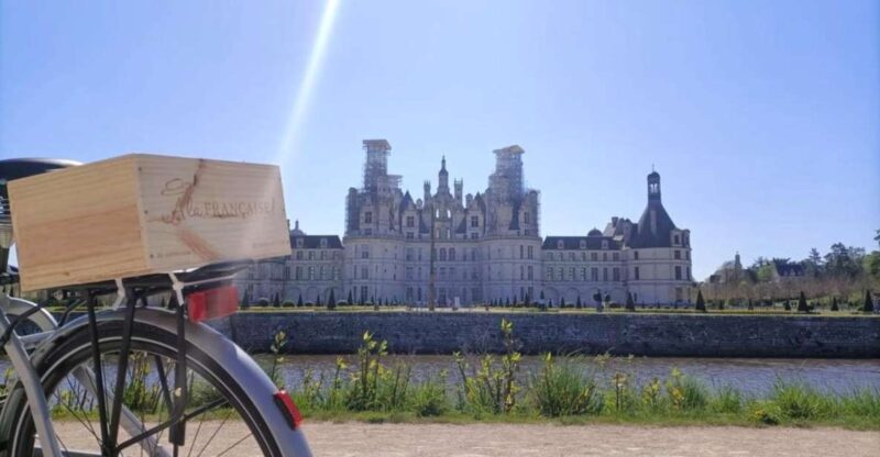 From Amboise: Full-Day Guided E-bike Tour to Chambord - Key Points